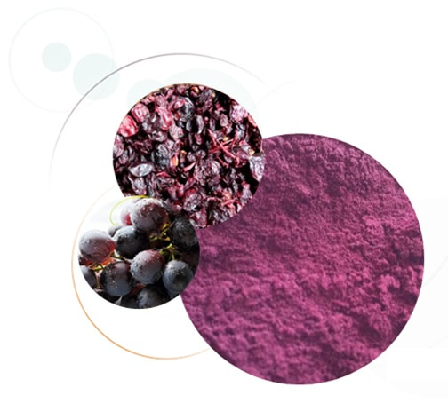 Red grape polyphenols applications by GrapSud